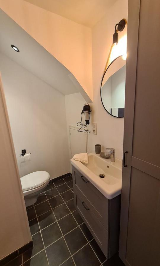 Studio Le Ligerien Saint-Denis-de lʼHôtel Екстериор снимка